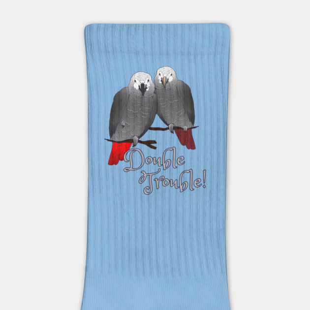 Congo and Timneh African Grey Parrot DoubleTrouble by Einstein Parrot