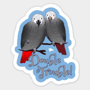 Congo and Timneh African Grey Parrot DoubleTrouble Magnet