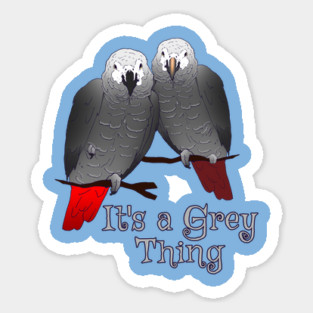 Congo and Timneh African Grey Parrot It's A Grey Thing Magnet