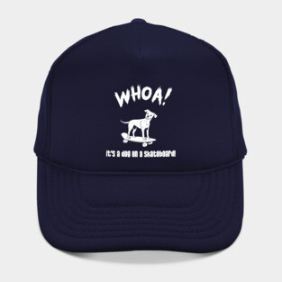 WHOA! It's a dog on a skateboard! Hat