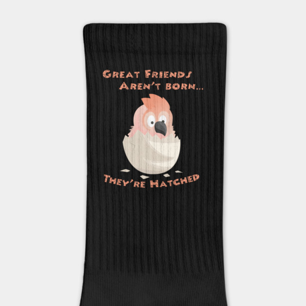 Moluccan Cockatoo Friends are Hatched by Einstein Parrot