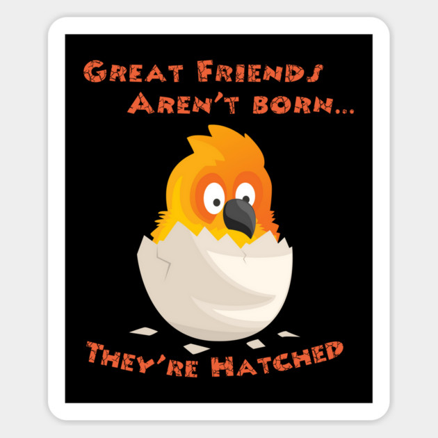 Sun Conure Friends are Hatched Magnet by Einstein Parrot