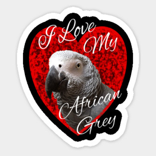 I Love My African Grey Parrot Sticker