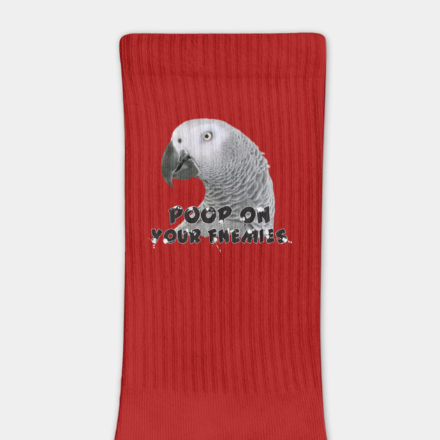 African Grey Parrot Poop on Enemies by Einstein Parrot