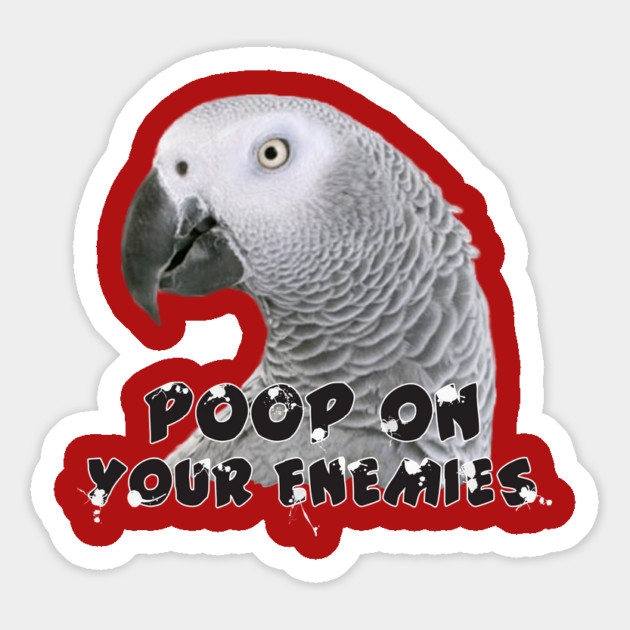 African Grey Parrot Poop on Enemies Magnet by Einstein Parrot
