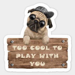 TOO COOL TO PLAY WITH YOU - DOG Magnet