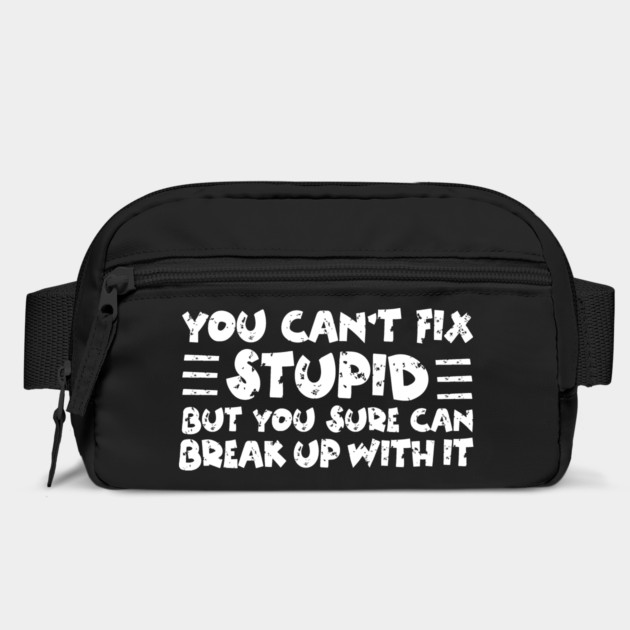 You Can't Fix Stupid by The WYLD Tribe