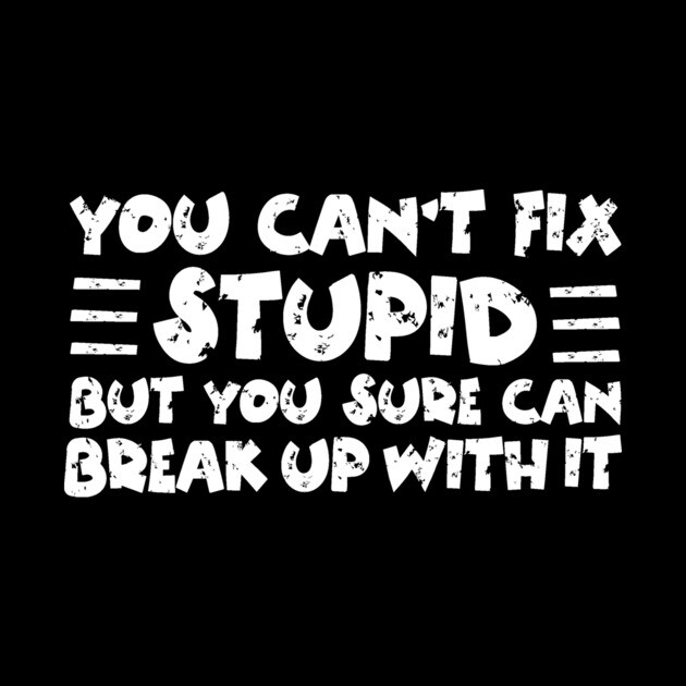 You Can't Fix Stupid by The WYLD Tribe