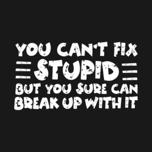 You Can't Fix Stupid T-Shirt