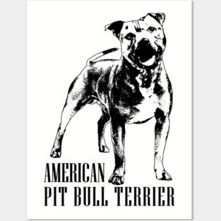 American Pit Bull Terrier - APBT Posters and Art