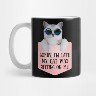 My Cat Was Sitting On Me Mug