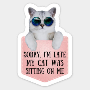 My Cat Was Sitting On Me Sticker