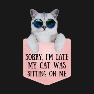 My Cat Was Sitting On Me T-Shirt