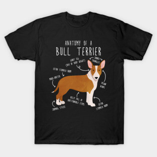 Bull Terrier Dog Anatomy T-Shirt