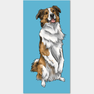English Shepherd | Sable and White | Cute Dog Art Posters and Art
