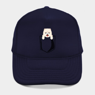 Pocket Pomeranian Hat