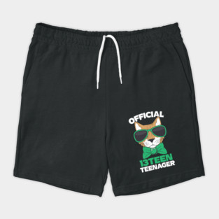 Official Thirteen 13 Teenager Cool Cat Shorts