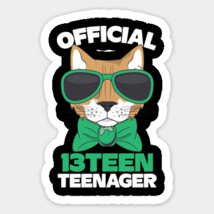 Official Thirteen 13 Teenager Cool Cat Sticker