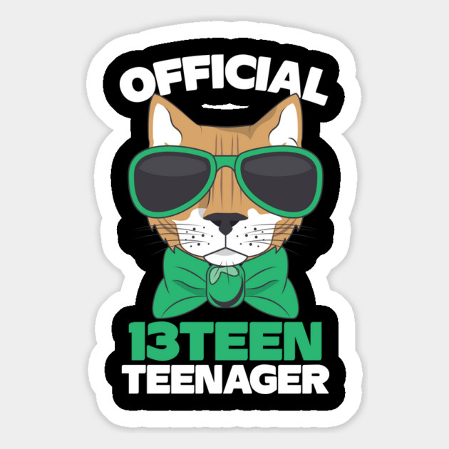 Official Thirteen 13 Teenager Cool Cat Magnet by The WYLD Tribe