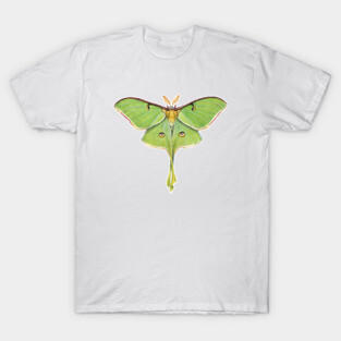 Luna Moth T-Shirt