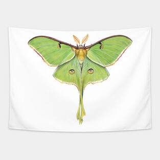 Luna Moth Tapestry