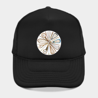 Pure Lacrosse (Color) Hat