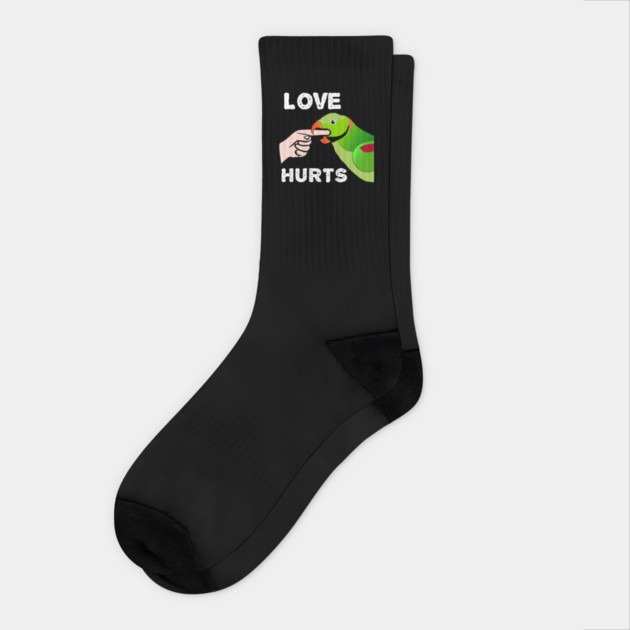 Love Hurts Indian Ringneck Male Parrot Biting Socks by Einstein Parrot