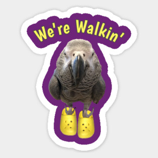 African Grey Parrot Walking Exercise Magnet