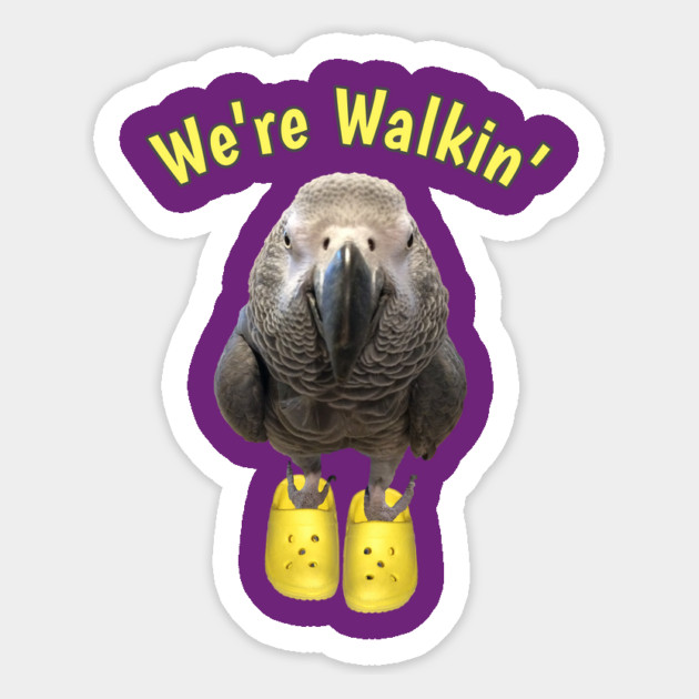 African Grey Parrot Walking Exercise Magnet by Einstein Parrot