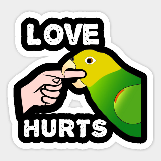 Love Hurts Double Yellow Headed Amazon Parrot Magnet by Einstein Parrot