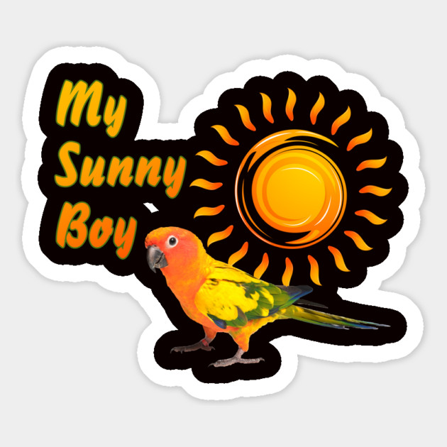 Sun Conure Parrot Sunny Sunshine Boy Magnet by Einstein Parrot