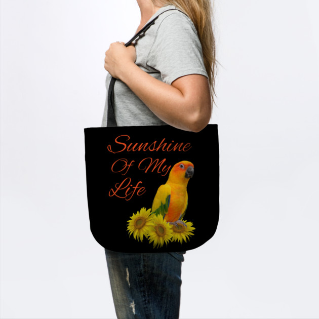 Sun Conure Parrot Sunshine Sunflower by Einstein Parrot
