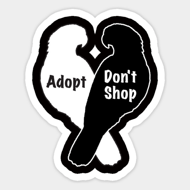 Parrot Rescue Adoption Don't Shop Magnet by Einstein Parrot