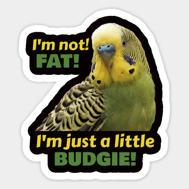 Fat Budgie Parakeet Parrot Magnet by Einstein Parrot