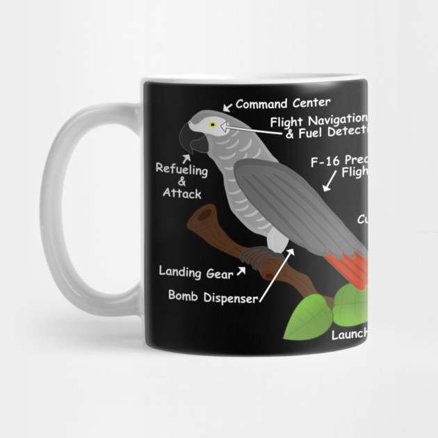 Anatomy of an African Grey Parrot by Einstein Parrot