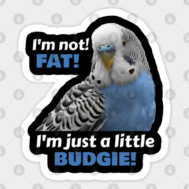 Fat Budgie Blue Parakeet Parrot Sticker by Einstein Parrot