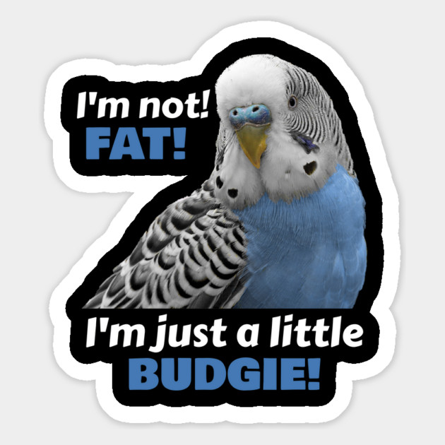Fat Budgie Blue Parakeet Parrot Magnet by Einstein Parrot
