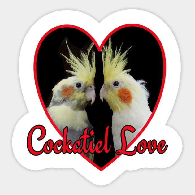 Cockatiel Love Heart Parrot Magnet by Einstein Parrot