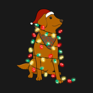 Dog Christmas Lights Graphic T-Shirt