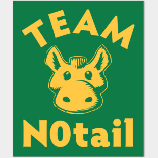 Dota 2 - Team N0tail All-Star Match Posters and Art