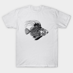 fish T-Shirt