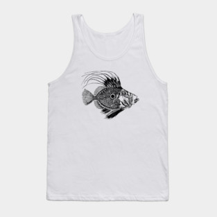 fish Tank Top