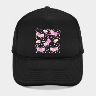 Cute and creepy pastel goth aesthetic skeleton cats  with cat unicorn skulls, bats and bones Hat