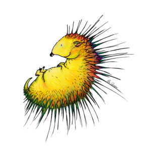 Porcupine colorful T-Shirt