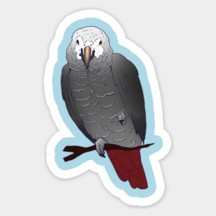 Timneh African Grey Parrot Perching on a Branch Sticker