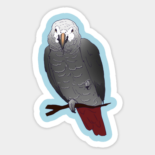 Timneh African Grey Parrot Perching on a Branch Magnet by Einstein Parrot