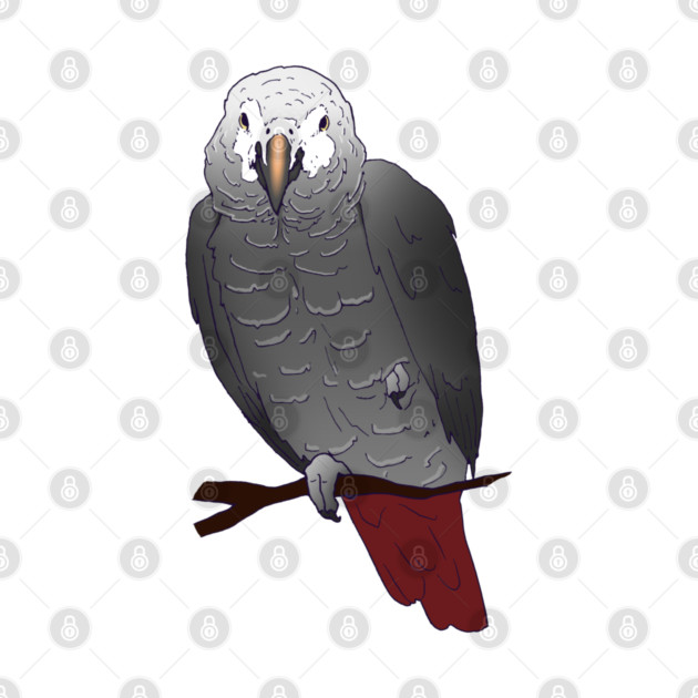 Timneh African Grey Parrot Perching on a Branch by Einstein Parrot