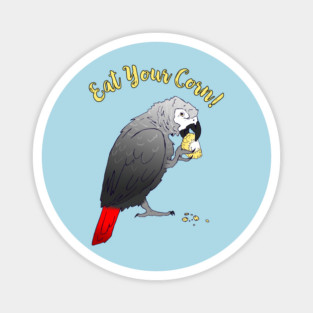 African Grey Parrot eating Corn Magnet