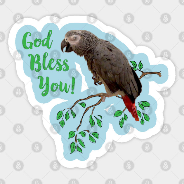 African Grey Parrot  - God Bless You Sticker by Einstein Parrot