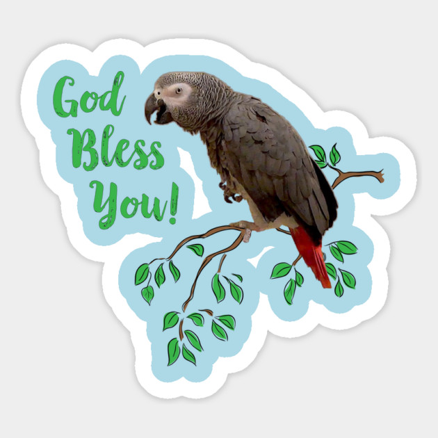 African Grey Parrot  - God Bless You Magnet by Einstein Parrot